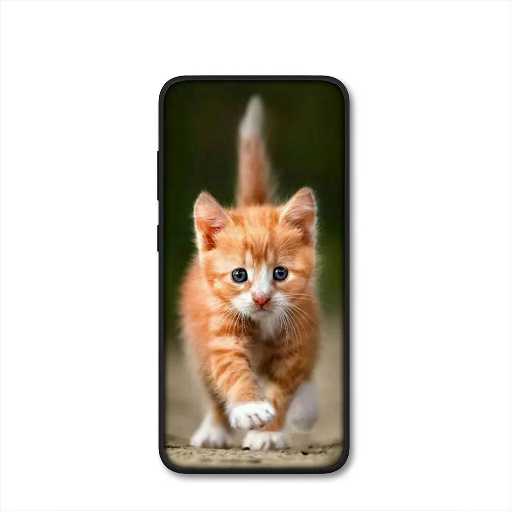 Adorable Kitten Cat Phone Case