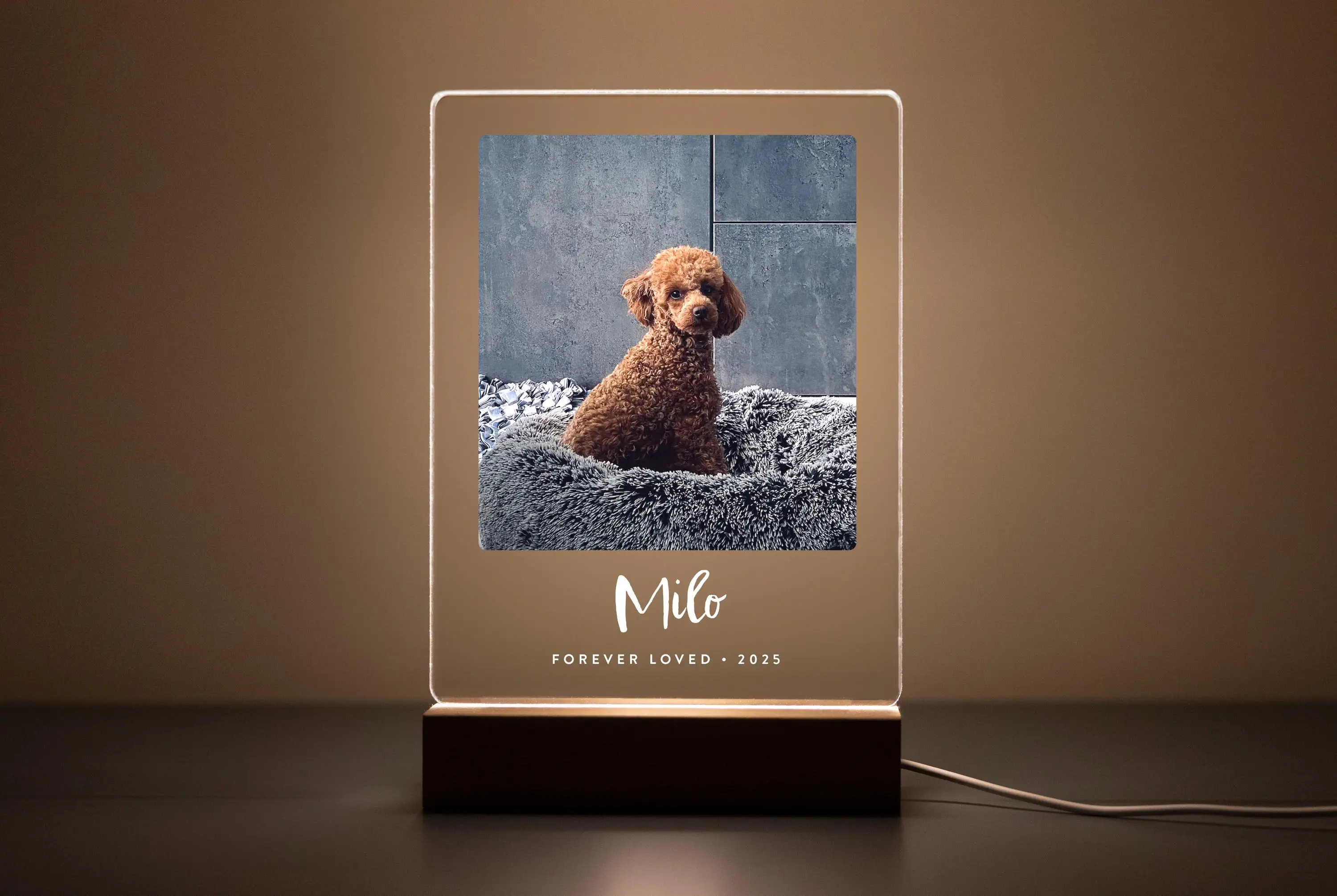 Benutzerdefiniertes Hundefoto-Schild, Haustier-Gedenkgeschenk mit LED-Licht, Haustierverlust, Sympathie, Andenken, personalisiertes Erinnerungsgeschenk – Detail 1