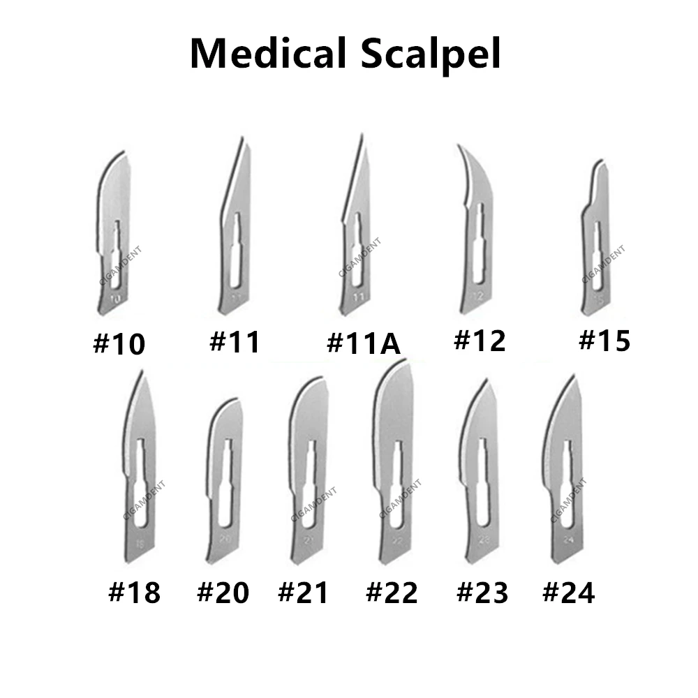 Lames Chirurgicales Stériles #15C - Lot De 500 - Avec Manche Scalpel #3 Offert - Neuf Pour Usage Médical/dentaire