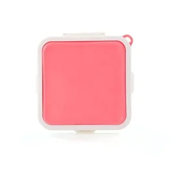 Eco - Friendly Reusable Silicone Bento Lunch Container (B)