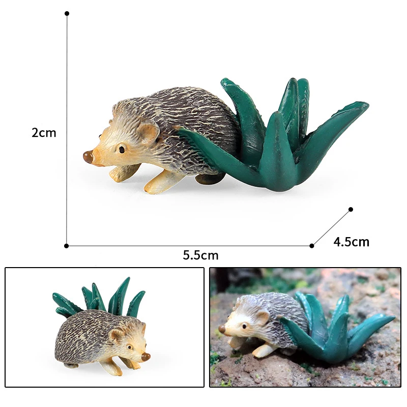 Hedgehog figure 5