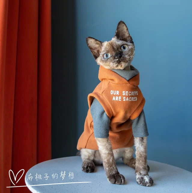 Hairless Cat Pet Sweater Hoodie Winter Warm Sphynx Cat Comfortable