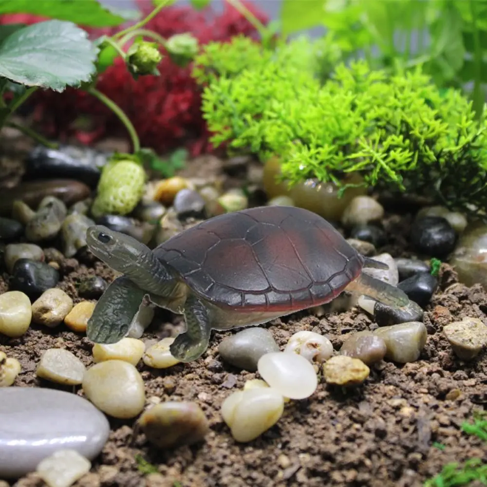 Realistic Miniatures Marine Life Sea Turtle Model Ocean Animal Tortoise Figurines Aquarium Decoration Fish Tank Accessories Toys fish tank ornaments fish tank decorations aquarium ornaments