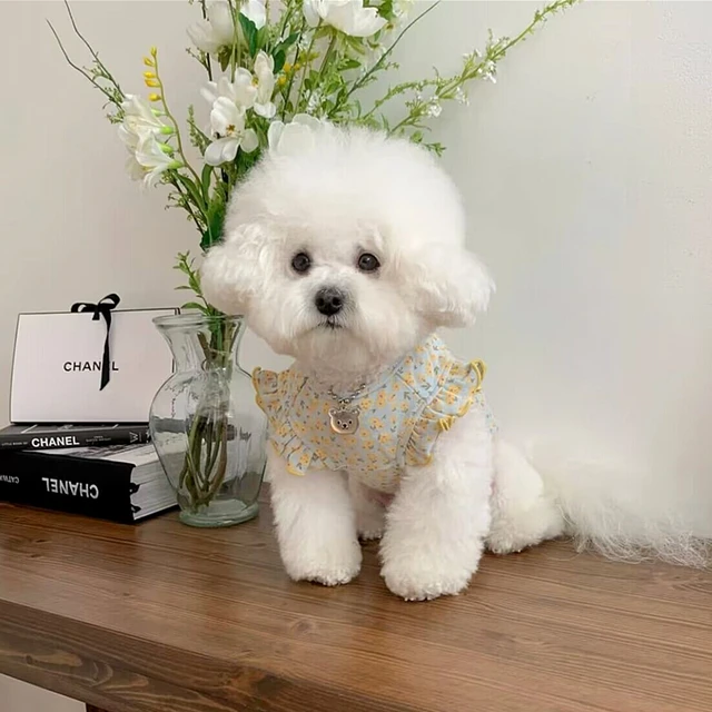 얇은 꽃 강아지 의류로 작은 강아지의 매력을 한층 더 돋보이세요