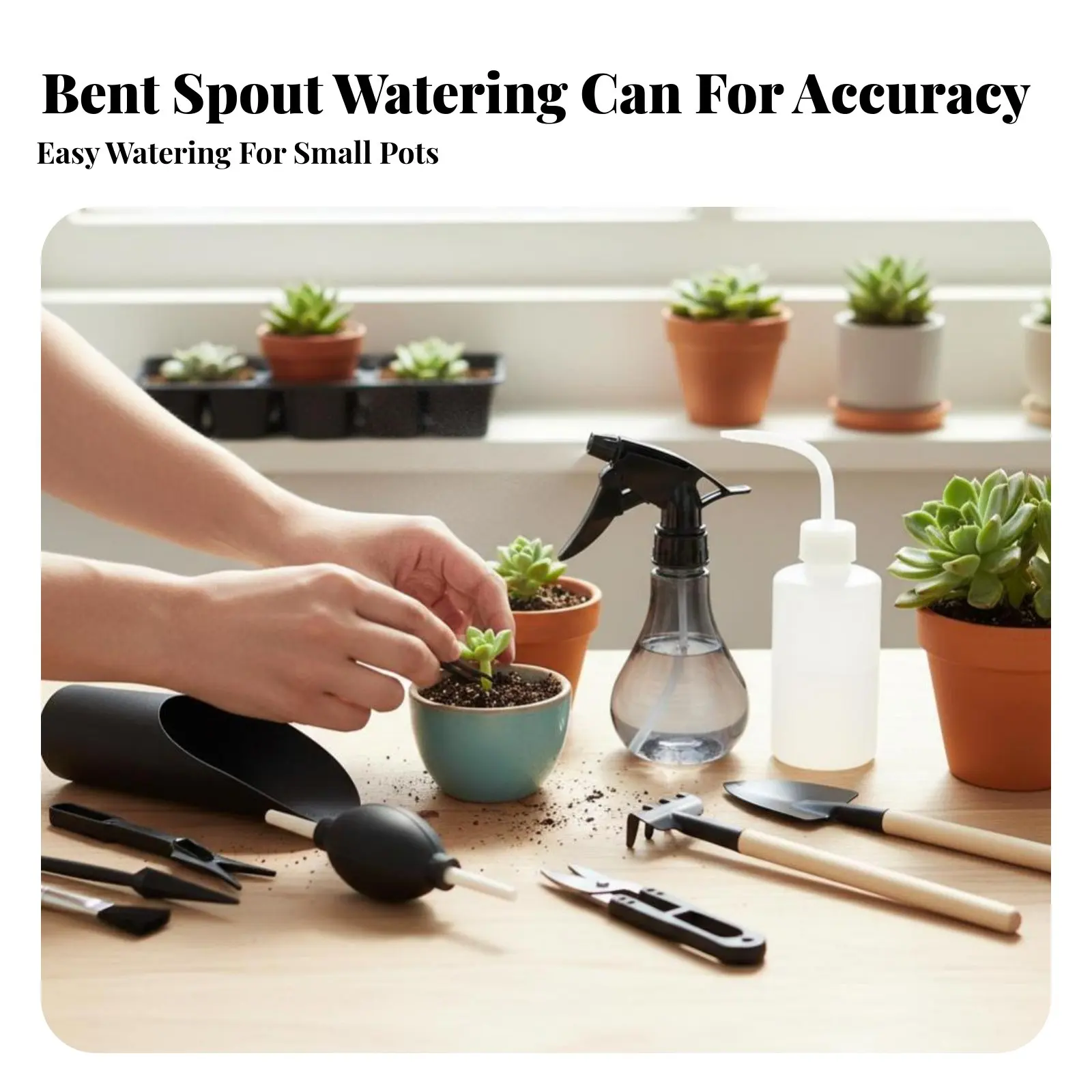 다육식물 재배 도구 세트, 미니 꽃 재배 키트, 물뿌리개, 가위, 가정 및 사무실용