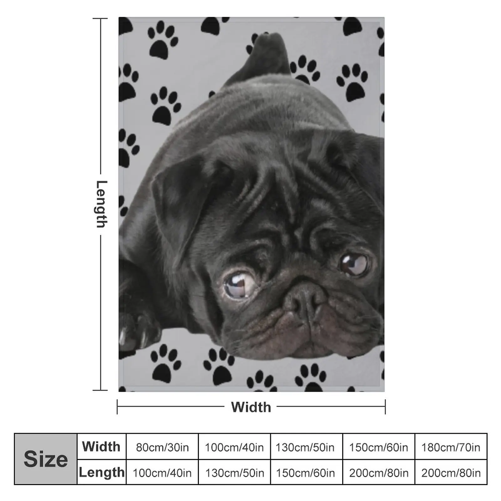 ��������� ���� �۱� ������ ���, ���� ���, ��� ���� ���