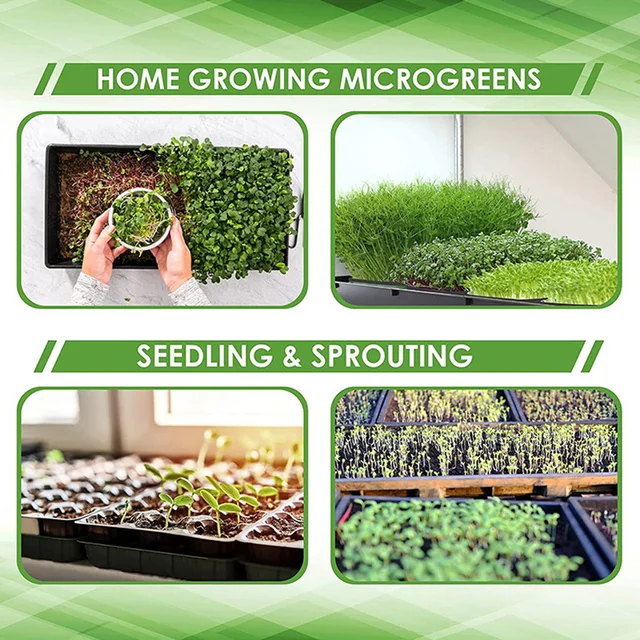 Óvoda Lélegző Kiegészítők Hidroponikus Készlet Diy Sloted Csészék Növénytermesztési Szikla Gyapjúkockák Multifunkcionális Kerti Ellátás - Image 2