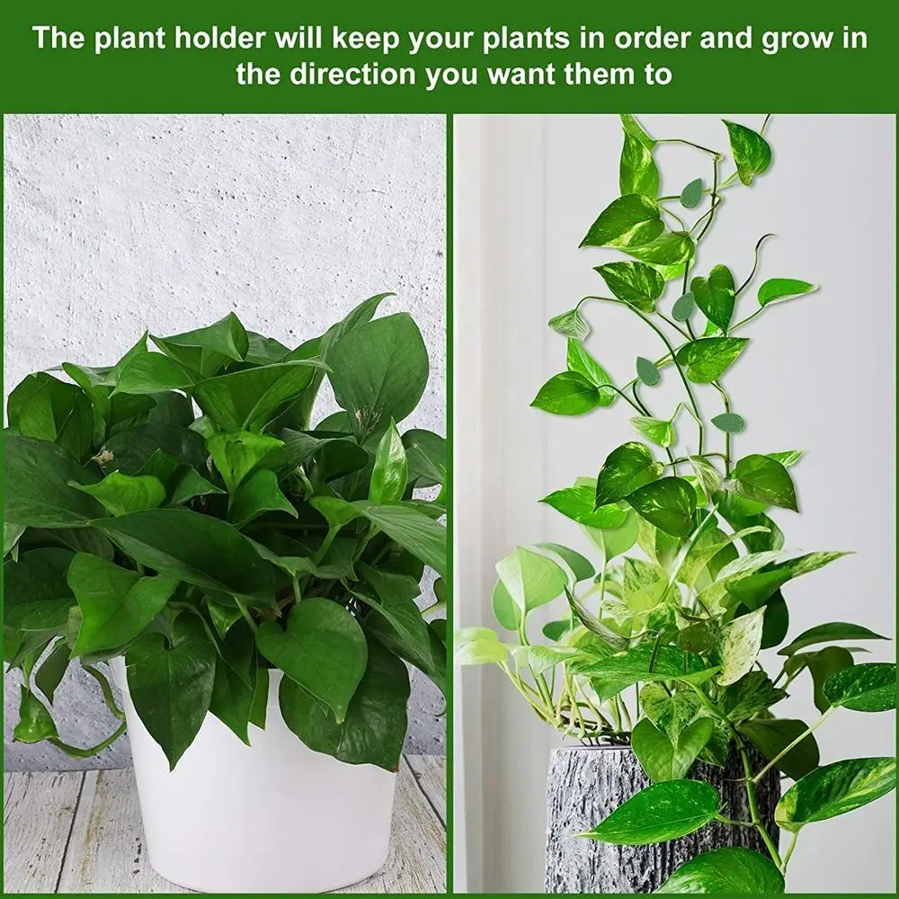 10/50 PCS Plant Climbing Wall Fixture Rattan Vine Bracket Fixed Buckle Leaf Clips Traction Holder Plant Fixing Clip Garden Tool