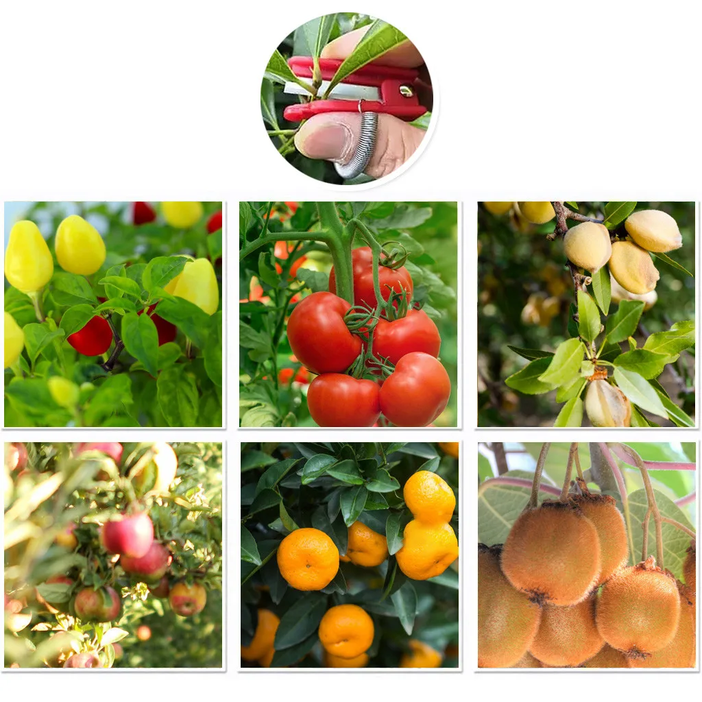 Vegetable Finger Knife Separator Farm Garden Orchard Fruit Vegetable Harvesting Picking Device Multifunction Safe Picking Tools