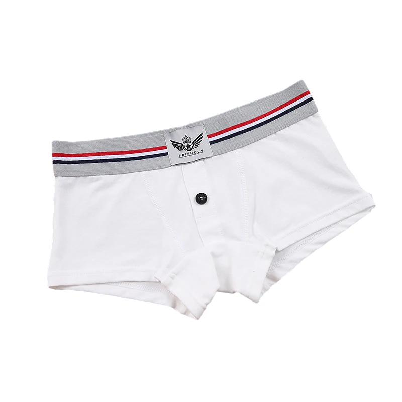 HaleyChan Cotton Stripe Boyshort 1 Pack Boxer Briefs for Tomboy Trans  Lesbian Neutral Underwear Panties
