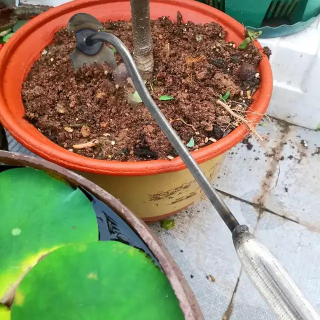 Gyomhúzó Újrahasznosítható Munkaerő-Megtakarító Gyökér-Eltávolító Húzó Vasaló Gyökér Eltávolító Kertészeti Szerszám Gyepellátás Otthon - Image 6