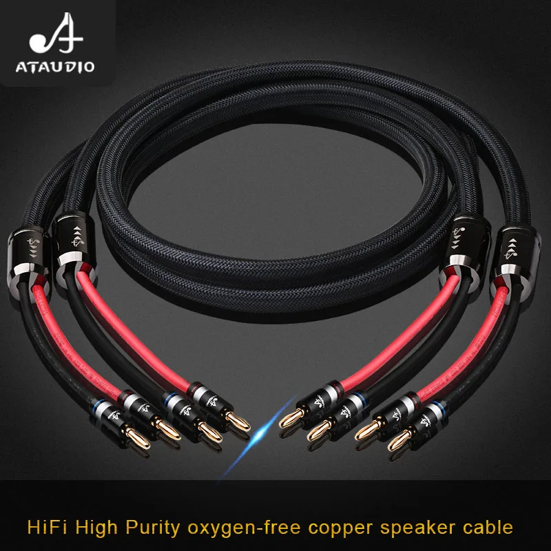 

ATAUDIO Hifi Speaker Cable High Quality 6N OFC Speaker Cord to connect Amplifier and Speaker BOX
