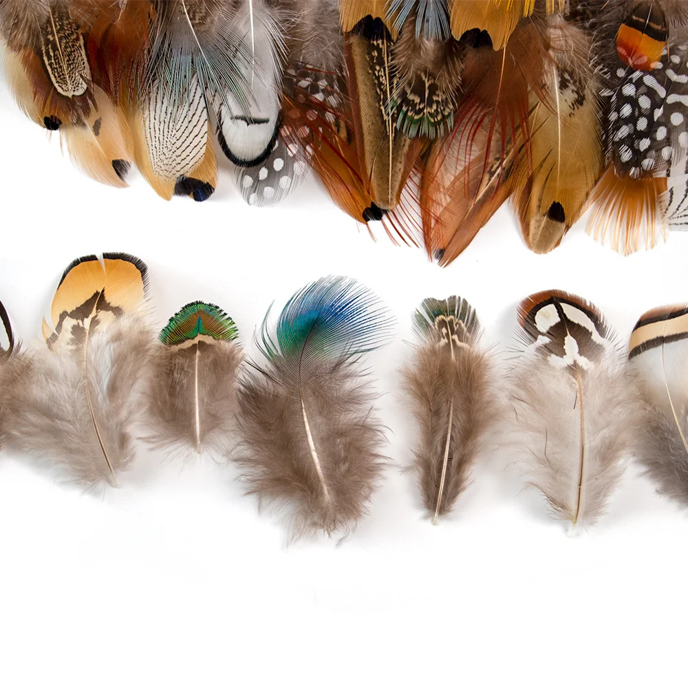 Natural Duck Pheasant Feather 100PCS Small Soft Feathers For Craft Jewelry Making Clothing Carnaval Assesoires Plumas Decoration