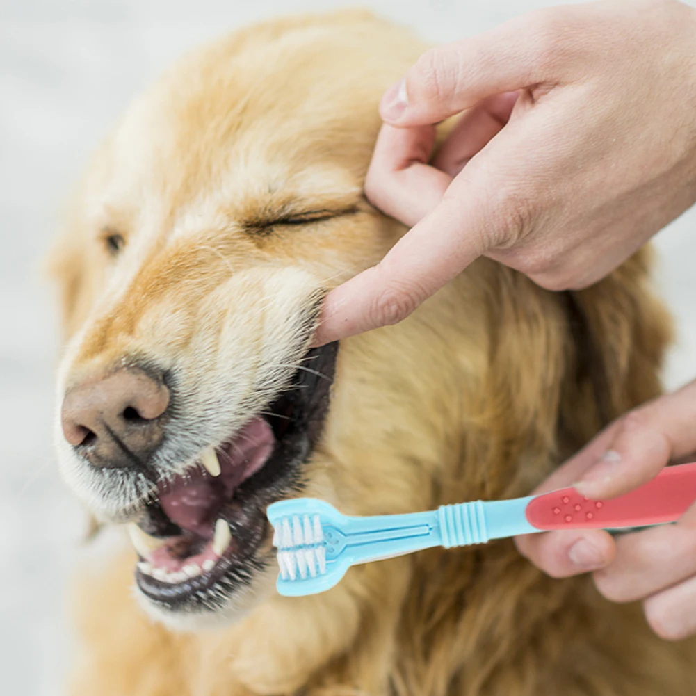 Three-sided Toothbrush For Dog