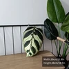 plant-pillow-b