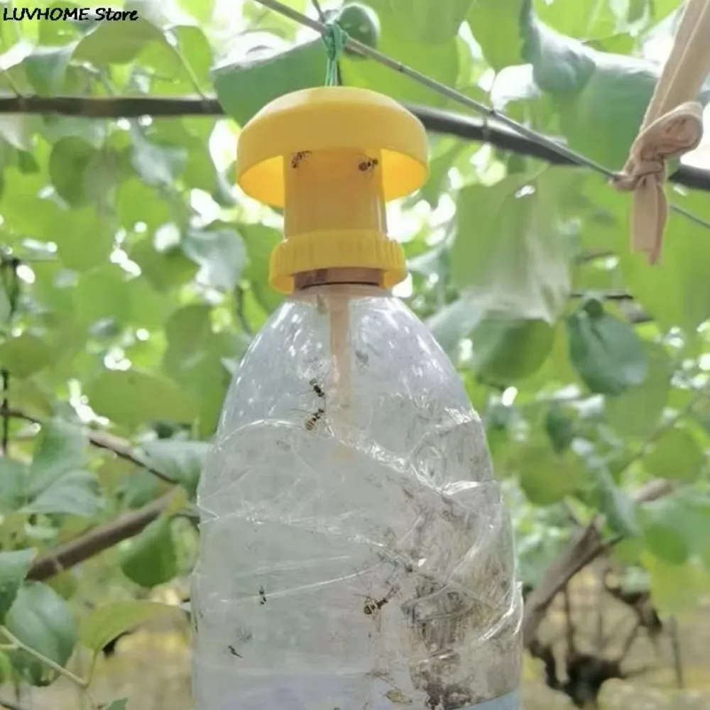 Description Picture 4 of item10pcs High Efficiency Plastic Fruit Fly Trap Killer Yellow Practical Insect Trap Hanging Fly Catcher Pest Control