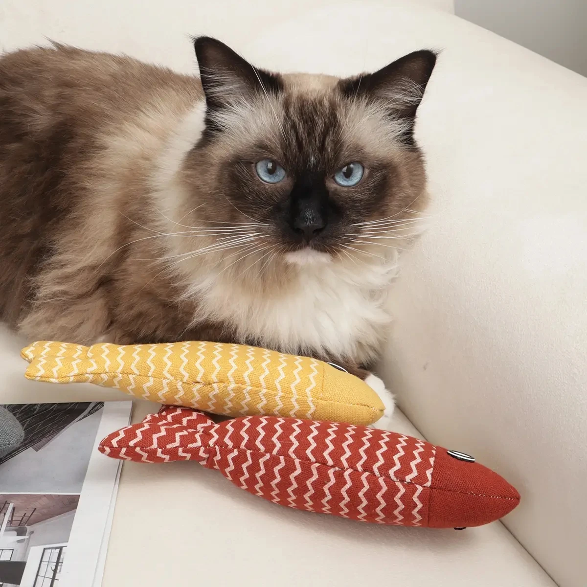 3pcs Toys Fish Cat Toys Indoor
