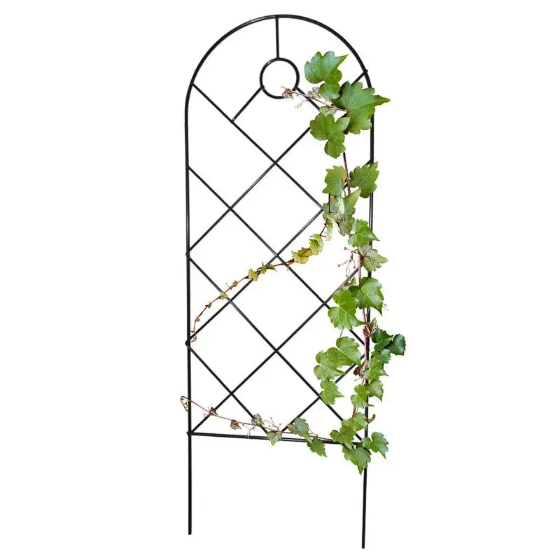 Trellis For Climbing Plants Outdoor House Plant Trellis Indoor Rust