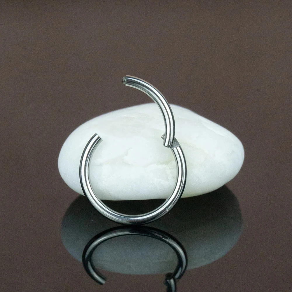 10/50PCS G23 Titanium Nose Ring 16G 18G 20G Hinged Clicker Segment Septum Hoop Women Men Ear Cartilage Earring Piercing Jewelry 5