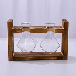 Elegant Tabletop Glass Planter with Wooden Tray - Stylish Hydroponic Vase for Home and Office Decor (Styel B - 2)