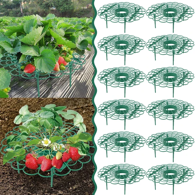 5/10/20Db Strawberry Állvány Virág Alakú Növény Támogatja A Szőlőmászó Zöldségnövekedésű Védelmét Kertészeti Otthoni Kellékek