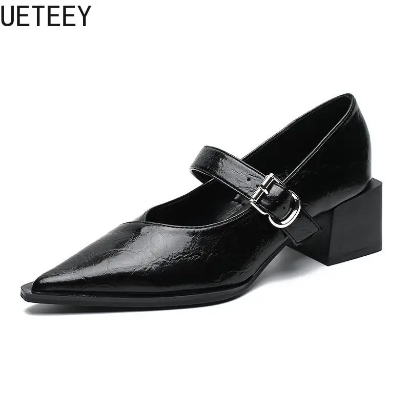 Designer Vintage Pointed Toe Women Mary Jane Shoes Fashion Shallow Buckle Shoes Spring Ladies Elegant Dress Thick Heel Shoes 6