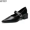Designer Vintage Pointed Toe Women Mary Jane Shoes Fashion Shallow Buckle Shoes Spring Ladies Elegant Dress Thick Heel Shoes 6