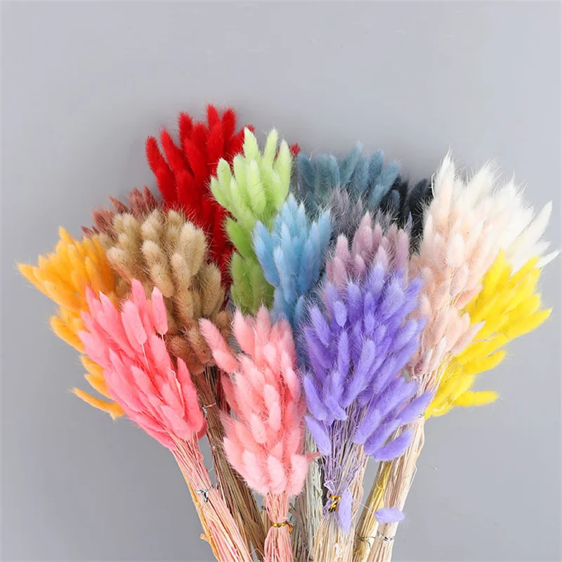 

30pcs Natural Dried Flower Bunny Tail Pampas Grass Bunch Real Bouquet DIY Home Bride Wedding Souvenirs Table Centerpiece