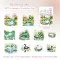 E Swan Lake