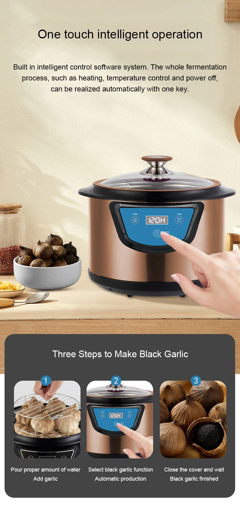 DMWD Automatic Black Garlic Fermenter 6L Home DIY Multifunctional Zymolysis Yogurt Maker Natto Rice Wine Machine Garlics Maker