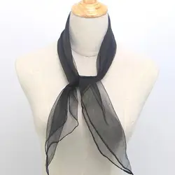 Luxurious Women's Raccoon Fur Collar Winter Scarf Shawl (A)