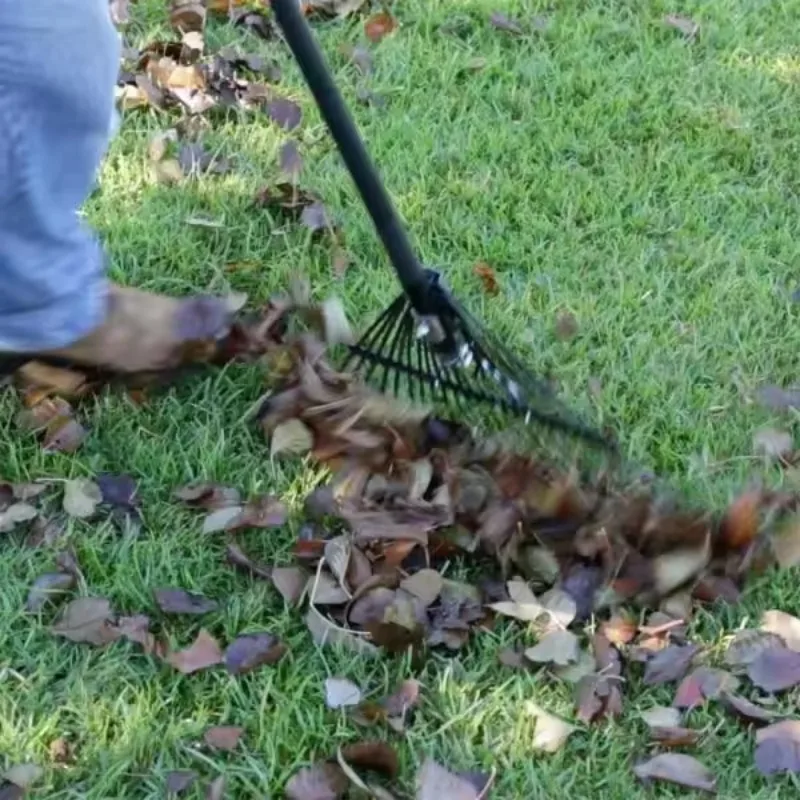 Realmote Rake 22 Toothed Rake Dead Leaf Rake Steel Wire Garden Gardening Tools Agriculture 6