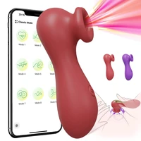Leistungsstarker Saugvibrator, Dildo, Sexspielzeug für Erwachsene für Frauen, Vakuum-Klitoris-Stimulator, 9 Saugen, Rosenvibratoren, weibliche Masturbation ab 18 Jahren 2
