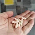 10 pcs