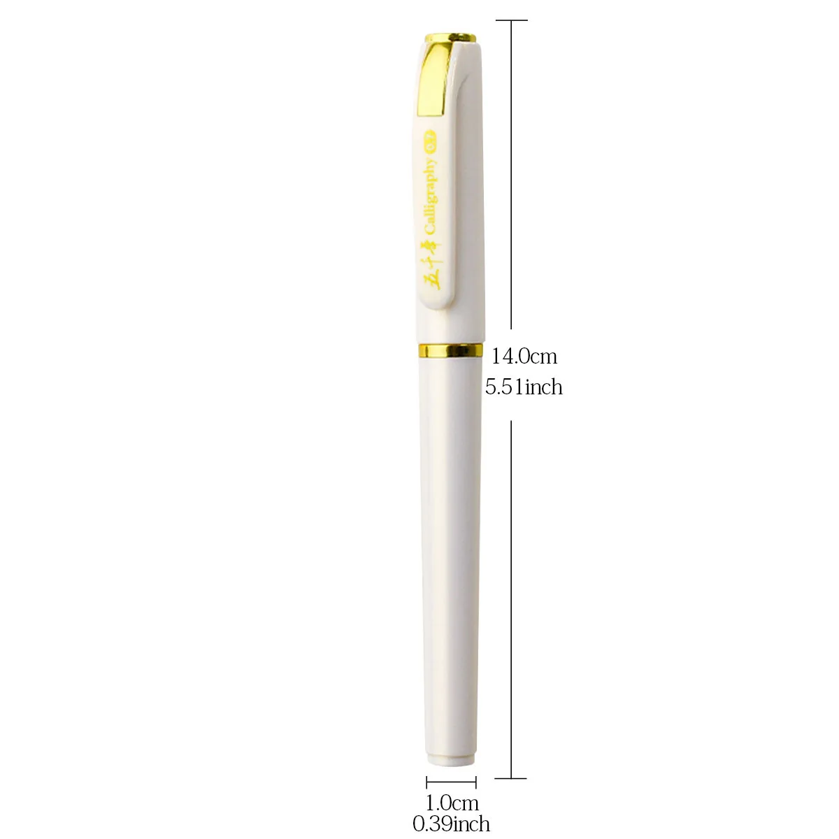  ʰ ε巴    , 1.0mm ݼ  Ŭ, л б ǰ, б , 3 , 6 