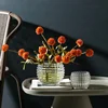 Modern Minimalist Crystal Small Vase Living Room Mini Transparent Glass Ball Flower Arrangement Hydroponic Desktop Decoration 2