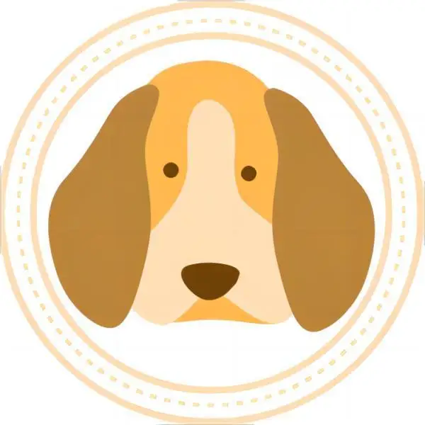 Pet Mall Store