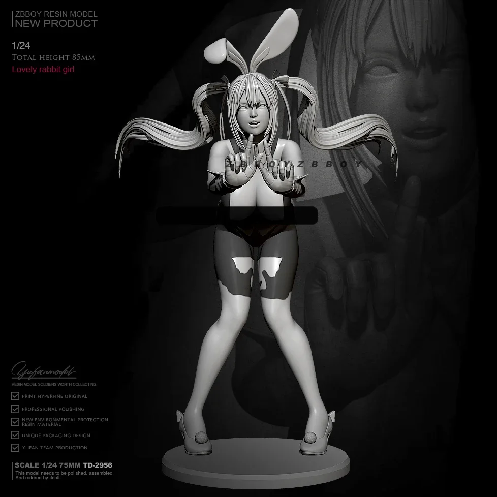 

1/24 набор моделей из смолы, красивая бесцветная и самособранная фотография