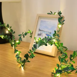 Enchanted Ivy Vine String Lights with Battery - Powered LED Garland - 2meters 20Leds (B)