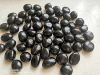 2.2 lb Bulk LARGE Black Tourmaline Tumbled Stone Crystal Healing Tumble Gemstone 6