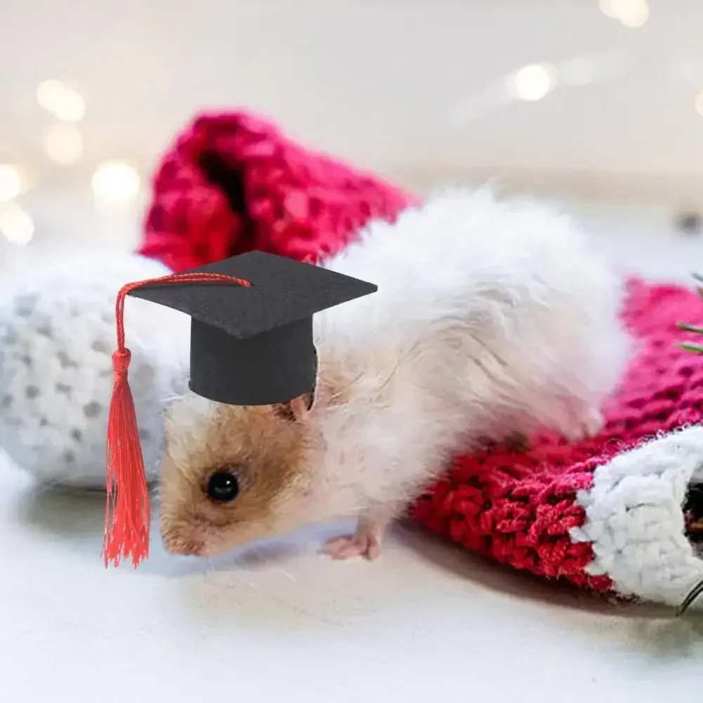 1Pc Pet Graduation Cap Small Felt Pet Graduation Hat Cute Mini Hat with Tassel Costume for Guinea Pig Hamster