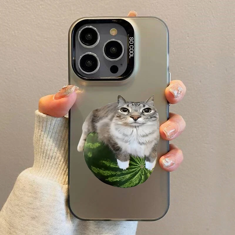 Humorous Cat Meme Laser Phone Case - Lovely Animal Design Cover