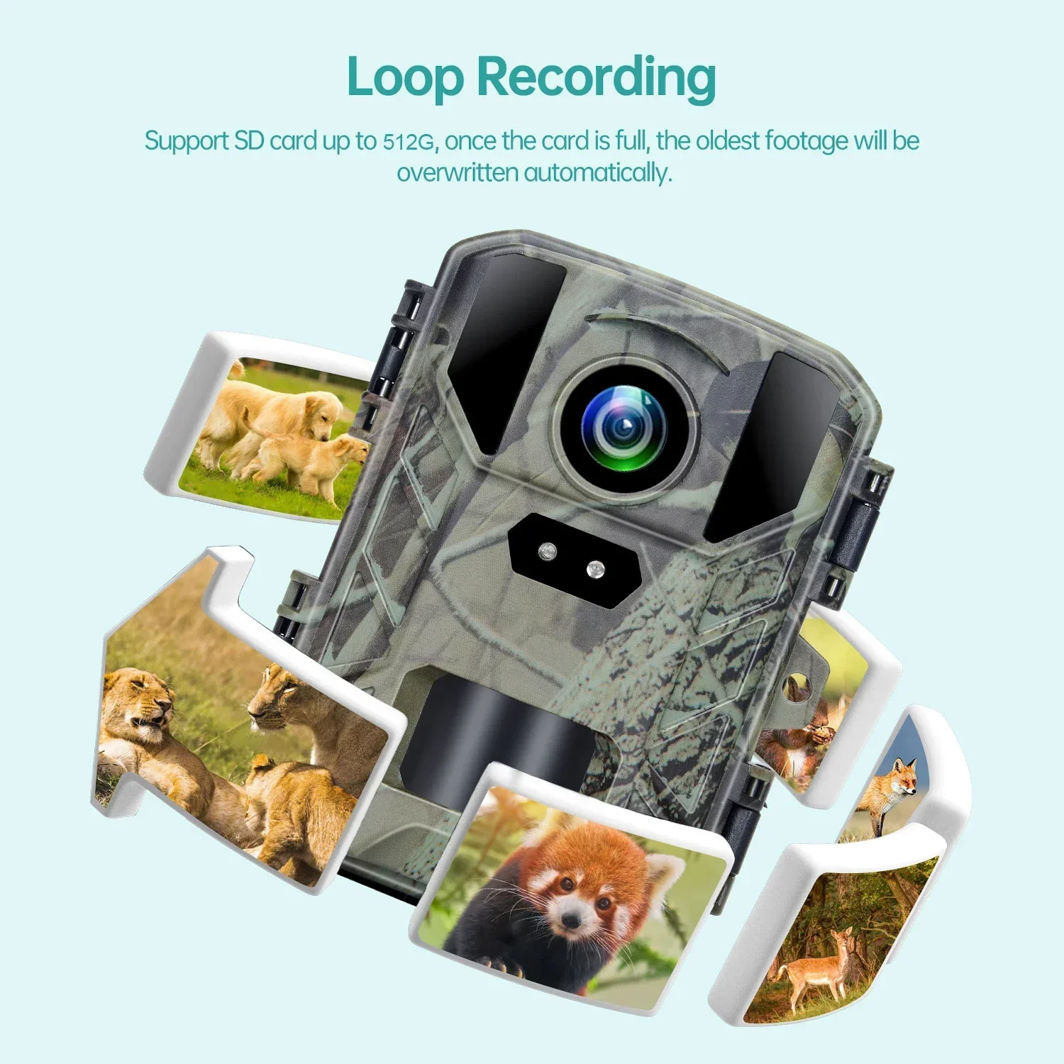 

hunting camera Night Vision - Mini800 Wildlife Track Camera with 24MP 1080P HD Video IP66 Waterproof Outdoor Camera