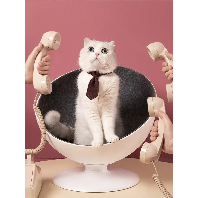 Tail Life Cat Owner Net Red Nest Four Seasons General House Summer Kitten