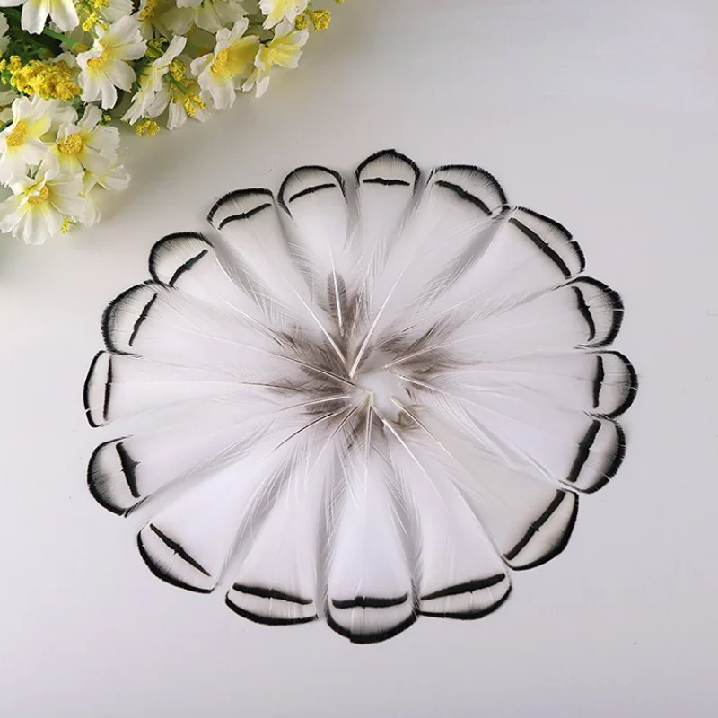 자연 야생 닭 깃털, 5-8cm, DIY 닭 깃털 마스크, 웨딩 장식, 드림 캐처 깃털, 도매, 50 개