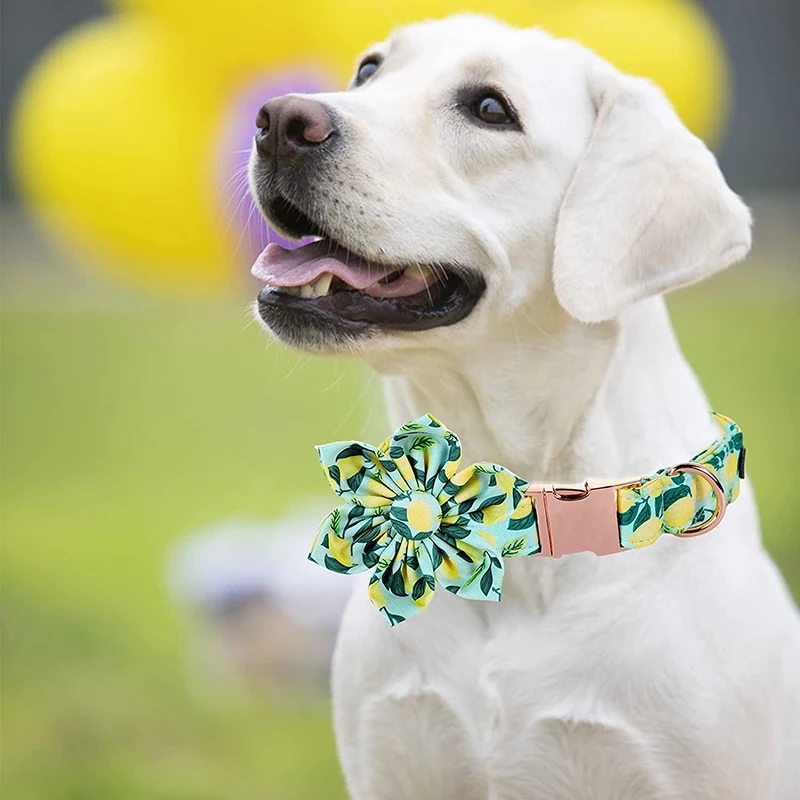 Collar Para Perro Mediano PET SHOW 6PCS Collar De Perro Lazos Y Flores Para Niñas Perros Pequeños Accesorios Para Perro