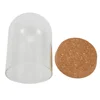 Transparent Dome Wooden Base Tabletop Display Glass Cover Preserved Flower Ornament Craft Dustproof Bell Jar Glass Container 5