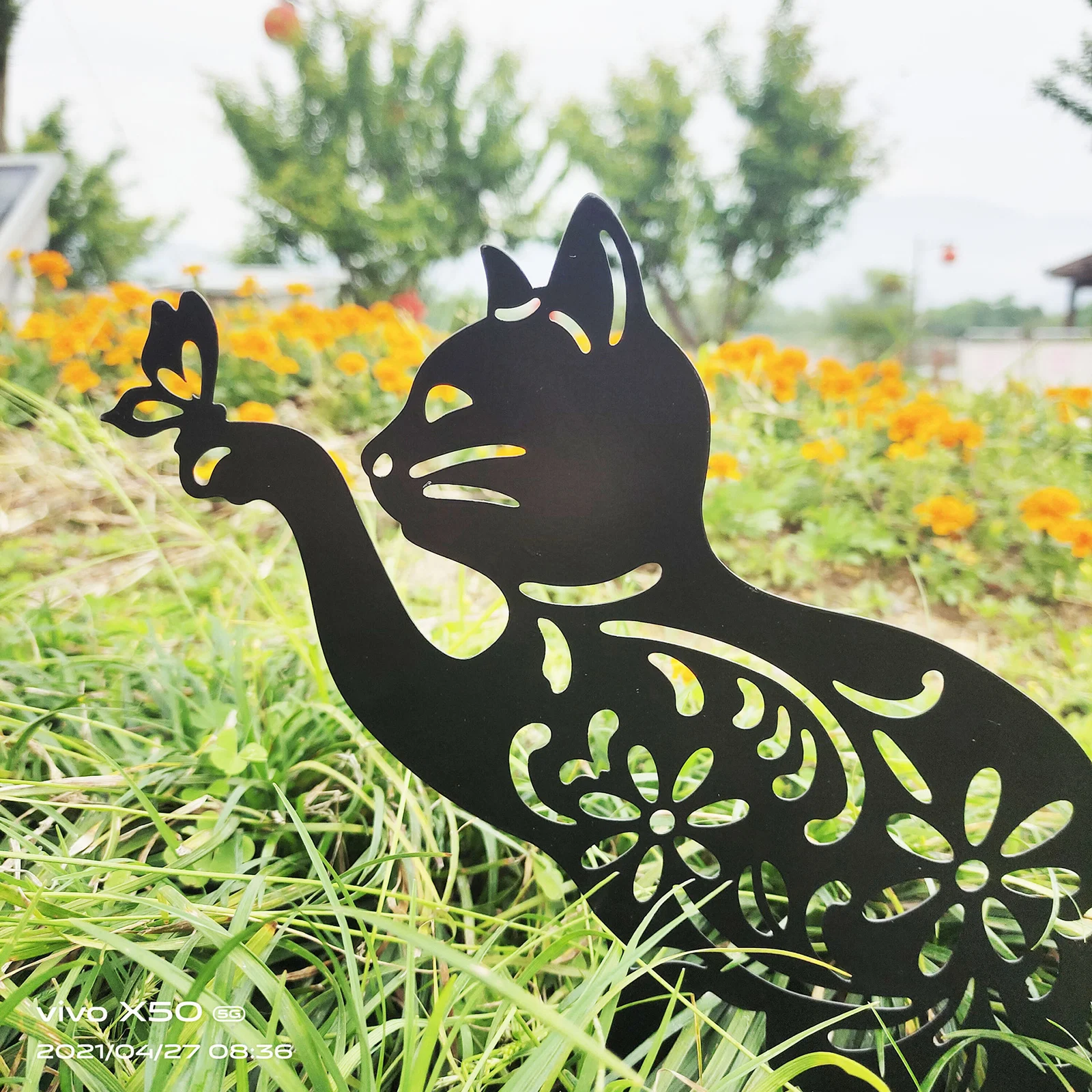 Piquet de jardin en forme de chat avec papillon - Hauteur : env. 55 cm - En métal  rouillé - Décoration de jardin : : Jardin