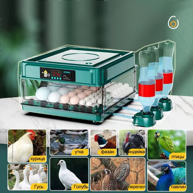 

24/64 Eggs Incubator with Temperature Control Dual Power for Hatching Ducks Chicken Ionic Waterbed Automatic Water Replenishment