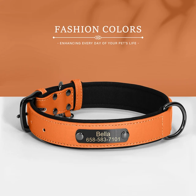 Beirui Collar De Perro De Cuero Acolchado Suave Personalizado